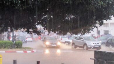 WhatsApp Image 2025 12 14 at 21.47.09