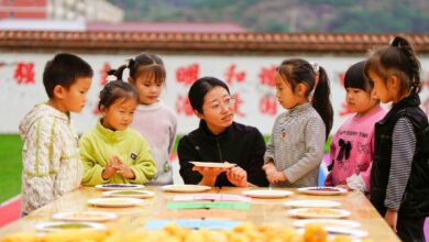 WhatsApp Image 2025 12 16 at 11.48.02