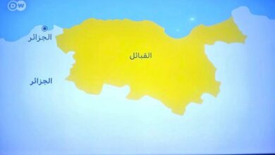 WhatsApp Image 2025 12 17 at 12.28.44