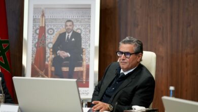 WhatsApp Image 2025 12 17 at 19.47.50