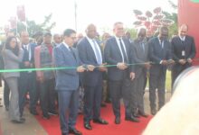 WhatsApp Image 2025 12 20 at 15.46.26