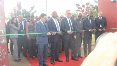 WhatsApp Image 2025 12 20 at 15.46.26