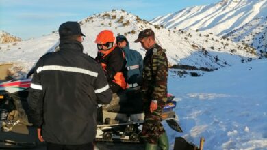 WhatsApp Image 2025 12 22 at 17.21.17