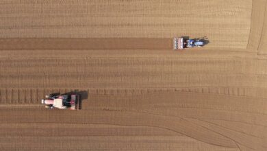 c82696e7 8b44 445d ab6a 52d1f5455dfa