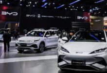 WhatsApp Image 2026 01 01 at 15.16.08