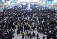 WhatsApp Image 2026 01 03 at 10.03.13