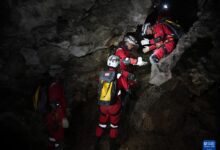 WhatsApp Image 2026 01 06 at 10.16.57 2