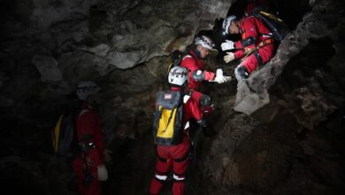 WhatsApp Image 2026 01 06 at 10.16.57 2