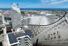 WhatsApp Image 2026 01 13 at 11.56.31