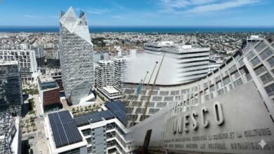 WhatsApp Image 2026 01 13 at 11.56.31