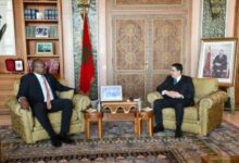 WhatsApp Image 2026 01 15 at 16.19.14