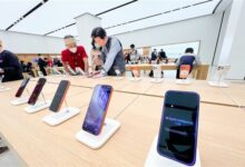 WhatsApp Image 2026 01 16 at 10.35.26