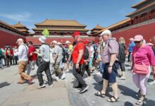 WhatsApp Image 2026 01 17 at 10.26.54