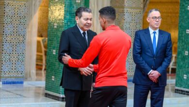 WhatsApp Image 2026 01 19 at 17.37.58