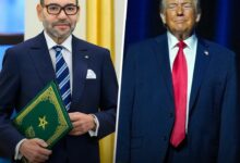 WhatsApp Image 2026 01 19 at 22.03.47