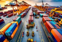 WhatsApp Image 2026 01 20 at 11.18.21