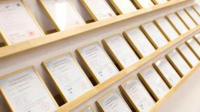 WhatsApp Image 2026 01 23 at 10.03.45