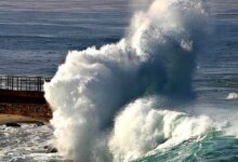 WhatsApp Image 2026 01 23 at 13.10.24