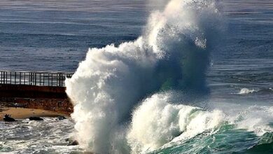 WhatsApp Image 2026 01 23 at 13.10.24