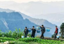 WhatsApp Image 2026 01 26 at 10.06.49