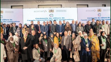 WhatsApp Image 2026 01 28 at 22.30.36