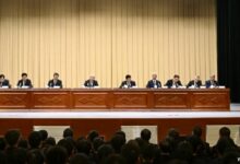 WhatsApp Image 2026 01 29 at 10.16.01