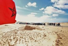 WhatsApp Image 2026 01 29 at 19.43.33 1