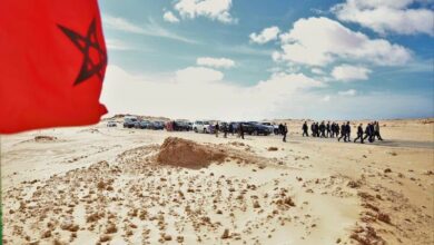 WhatsApp Image 2026 01 29 at 19.43.33 1