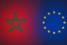 WhatsApp Image 2026 01 29 at 19.43.33