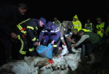 WhatsApp Image 2026 01 30 at 16.23.39 1