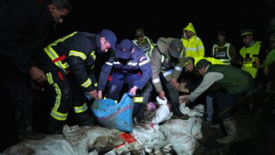 WhatsApp Image 2026 01 30 at 16.23.39 1