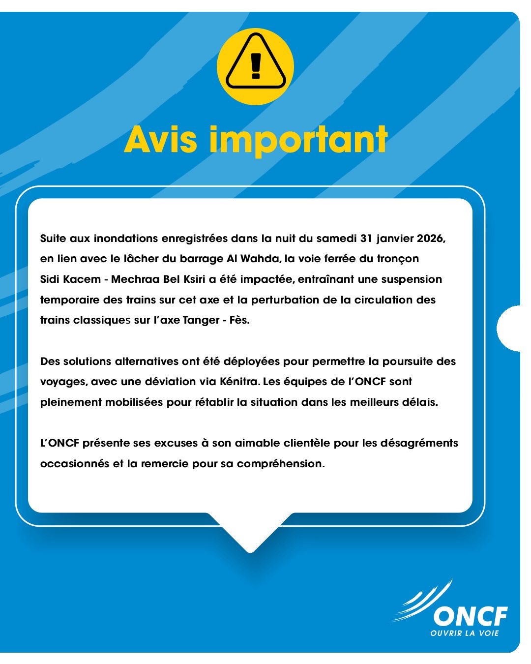 WhatsApp Image 2026 01 31 at 15.11.35