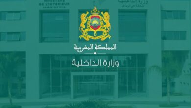 vis 0112202613065683