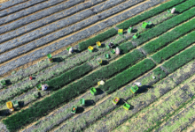 Capture décran 2026 02 05 à 09.26.54