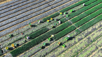 Capture décran 2026 02 05 à 09.26.54