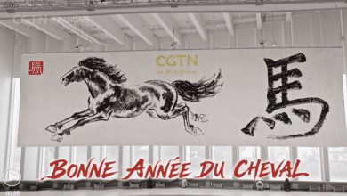 Capture décran 2026 02 09 à 11.30.18