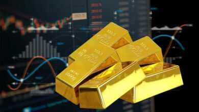 WhatsApp Image 2026 02 02 at 10.13.59