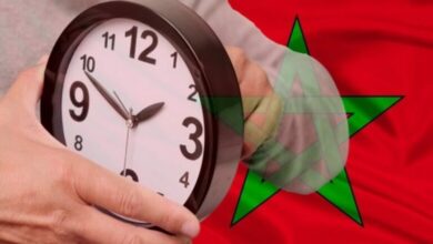 WhatsApp Image 2026 02 03 at 10.59.53