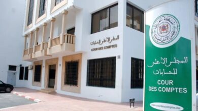 WhatsApp Image 2026 02 03 at 13.58.21