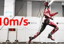 WhatsApp Image 2026 02 04 at 09.59.32