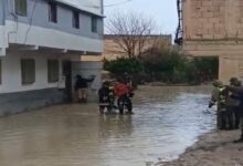 WhatsApp Image 2026 02 04 at 15.29.02