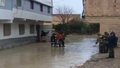 WhatsApp Image 2026 02 04 at 15.29.02