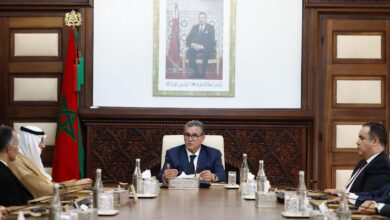 WhatsApp Image 2026 02 05 at 18.11.39