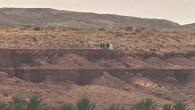 WhatsApp Image 2026 02 05 at 23.40.02