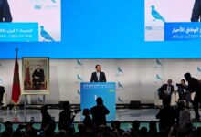 WhatsApp Image 2026 02 07 at 23.16.48