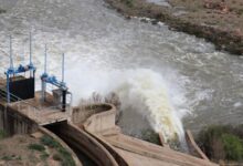 WhatsApp Image 2026 02 09 at 10.38.10