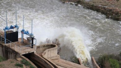 WhatsApp Image 2026 02 09 at 10.38.10