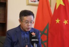 WhatsApp Image 2026 02 11 at 15.35.49