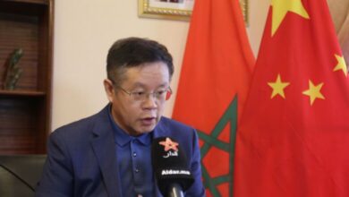 WhatsApp Image 2026 02 11 at 15.35.49