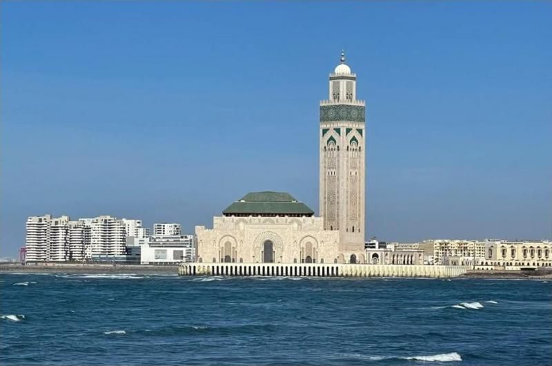 WhatsApp Image 2026 02 11 at 15.35.50 1